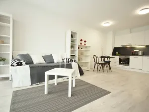 Pronájem bytu 2+kk, Brno, Košinova, 58 m2
