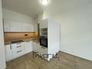 Pronájem bytu 2+kk, Ostrava, Hasičská, 153 m2