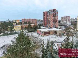 Prodej bytu 2+1, Olomouc, Sienkiewiczova, 52 m2