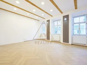 Pronájem bytu 2+kk, Praha - Staré Město, Haštalská, 58 m2
