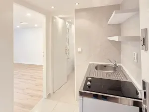 Pronájem bytu 1+kk, Praha - Podolí, Levá, 25 m2