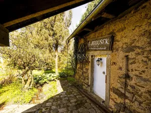 Prodej ubytování, Rohozná, 730 m2