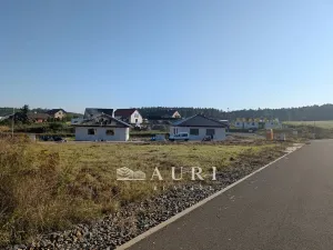 Prodej pozemku pro bydlení, Olešná, 1130 m2