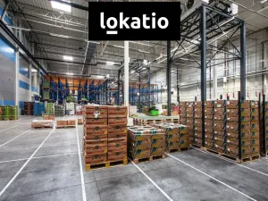 Pronájem skladu, Divišov, 3327 m2