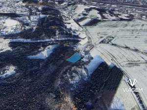 Prodej lesa, Česká Třebová, 3842 m2