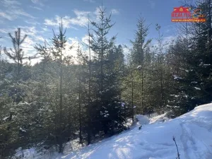 Prodej lesa, Horní Radechová - Slavíkov, 51351 m2