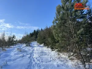 Prodej lesa, Horní Radechová - Slavíkov, 51351 m2
