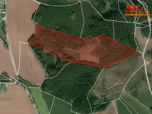 Prodej lesa, Horní Radechová - Slavíkov, 51351 m2