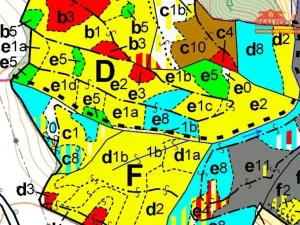 Prodej lesa, Horní Radechová - Slavíkov, 51351 m2