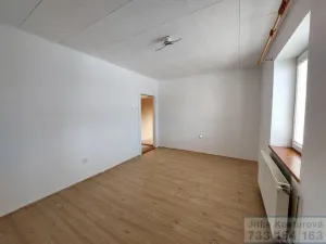 Prodej bytu 3+1, Krnov - Pod Bezručovým vrchem, Hlubčická, 68 m2