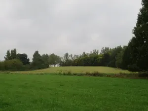 Dražba pole, Týn nad Vltavou, 26214 m2