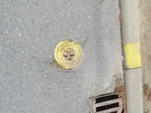 Dražba pole, Niva, 7239 m2