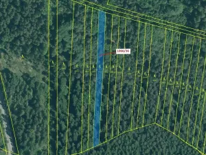 Dražba lesa, Stehlovice, 1983 m2