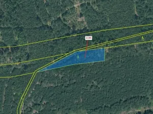 Dražba lesa, Jesenice, 1636 m2