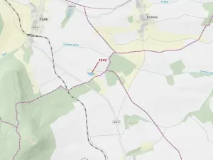 Dražba lesa, Trpík, 3972 m2