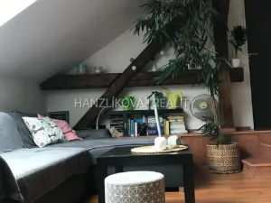 Pronájem bytu 2+kk, České Budějovice - České Budějovice 3, Nádražní, 60 m2