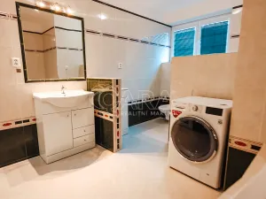 Prodej vícegeneračního domu, Srubec, 334 m2