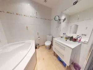 Prodej bytu 3+1, Březová, Hamerská, 151 m2