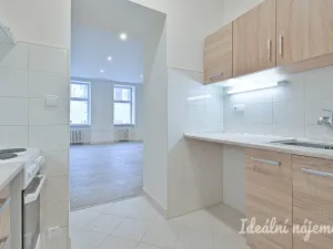 Pronájem bytu 1+1, Brno, Antonínská, 38 m2