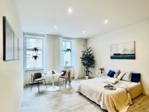 Pronájem bytu 1+1, Brno, Antonínská, 38 m2