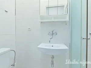 Pronájem bytu 1+1, Brno, Antonínská, 38 m2