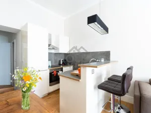 Prodej bytu 2+kk, Praha - Vinohrady, Máchova, 46 m2