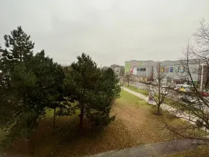 Pronájem bytu 1+kk, Plzeň - Lobzy, Částkova, 25 m2