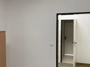 Pronájem obchodního prostoru, Přerov - Přerov I-Město, Šířava, 255 m2