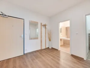 Pronájem bytu 2+kk, Ostrava, Jantarová, 53 m2
