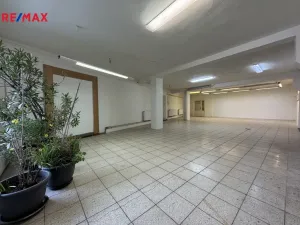 Pronájem obchodního prostoru, Velká Bystřice, ČSA, 354 m2