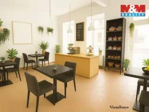 Prodej rodinného domu, Písek - Budějovické Předměstí, Tyršova, 315 m2