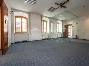 Pronájem obchodního prostoru, Mladá Boleslav - Mladá Boleslav I, Vodkova, 298 m2