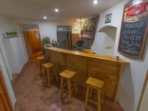 Pronájem restaurace, Sušice - Sušice I, Mostní, 116 m2