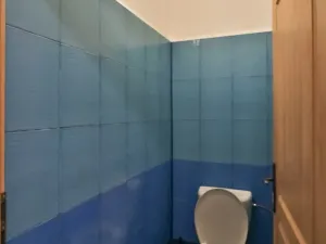 Pronájem restaurace, Sušice - Sušice I, Mostní, 116 m2