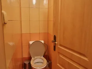 Pronájem restaurace, Sušice - Sušice I, Mostní, 116 m2