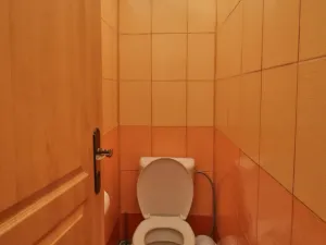 Pronájem restaurace, Sušice - Sušice I, Mostní, 116 m2