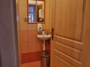 Pronájem restaurace, Sušice - Sušice I, Mostní, 116 m2