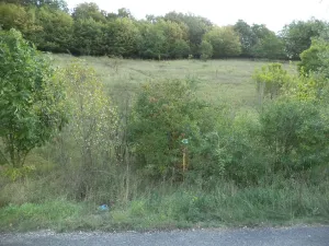 Prodej pole, Řehlovice - Stadice, 1038 m2