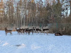 Prodej rodinného domu, Stará Huť, Krásný život, 140 m2