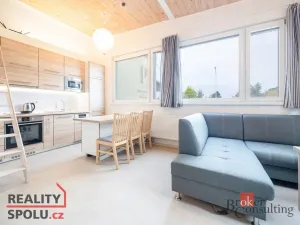 Pronájem bytu 1+kk, Světice, K Dálnici, 42 m2