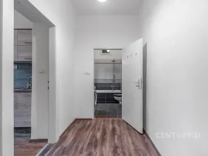 Pronájem bytu 1+1, Praha - Braník, Nad malým mýtem, 39 m2