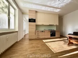 Pronájem bytu 2+kk, Brno, Podlesí, 39 m2
