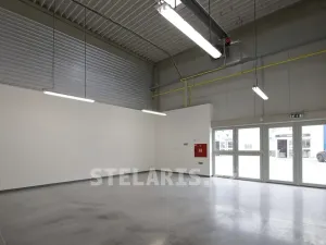 Pronájem skladu, Praha - Malešice, 205 m2