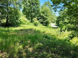 Prodej pozemku pro bydlení, Rokytnice v Orlických horách, 271 m2