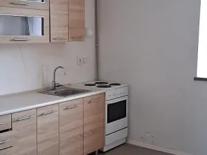 Pronájem bytu 2+kk, Holovousy, 40 m2