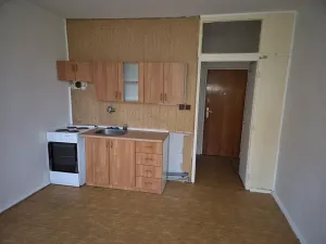Pronájem bytu 1+kk, Chodov, U Koupaliště, 22 m2