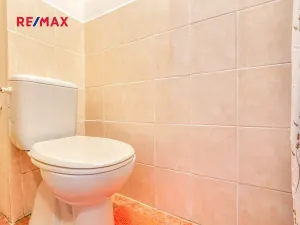 Prodej rodinného domu, Sedlčany, 93 m2