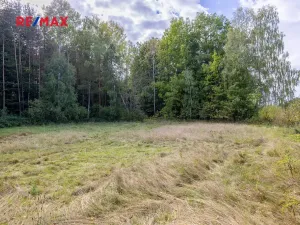 Prodej pozemku pro bydlení, Suchdol nad Lužnicí, 1001 m2