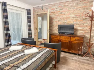 Pronájem ubytování, Valtice, Josefská, 251 m2