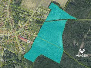 Prodej podílu lesa, Býchory, 11195 m2